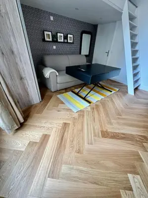 Coin salon dans l'établissement Appartement au cœur de Paris