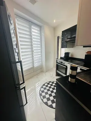Cuisine ou kitchenette dans l'établissement Appartement parisien