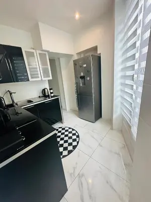 Cuisine ou kitchenette dans l'établissement Appartement parisien