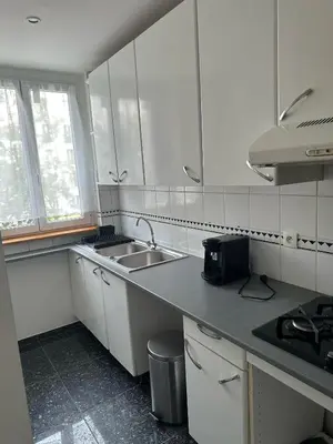 Cuisine ou kitchenette dans l'établissement Appartement Paris 16