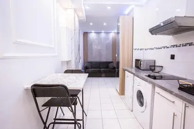 Cuisine ou kitchenette dans l'établissement Appartement Royal carré d'or de Paris 17 eme