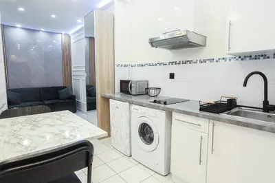 Cuisine ou kitchenette dans l'établissement Appartement Royal carré d'or de Paris 17 eme
