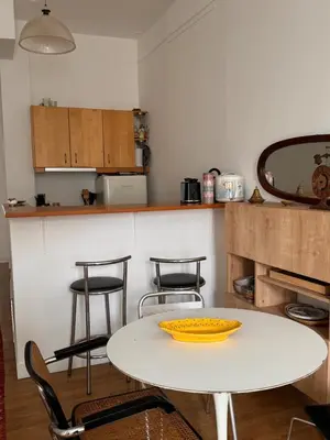 Cuisine ou kitchenette dans l'établissement Appartement 2 pièces charmant et paisible vue sur jardin
