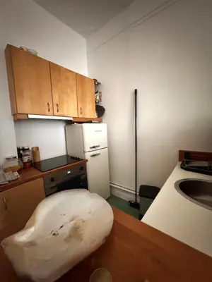 Cuisine ou kitchenette dans l'établissement Appartement 2 pièces charmant et paisible vue sur jardin