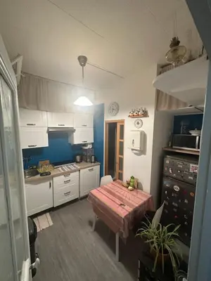Cuisine ou kitchenette dans l'établissement Appartement Paris 18