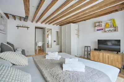 Télévision ou salle de divertissement dans l'établissement Charming Apartment Center of Paris By Studio Prestige