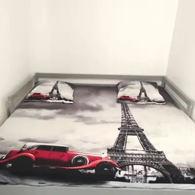 Paris apertment