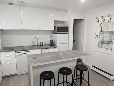 Cuisine ou kitchenette dans l'établissement Bel Appartement a 5 minutes du Louvre