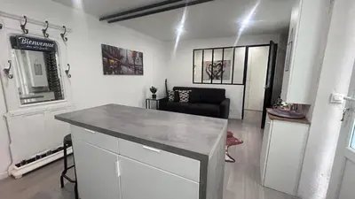 Cuisine ou kitchenette dans l'établissement Bel Appartement a 5 minutes du Louvre