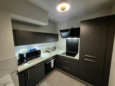Cuisine ou kitchenette dans l'établissement Appartement Les Portes du Stade