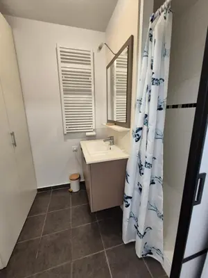 Salle de bains dans l'établissement Appartement Les Portes du Stade