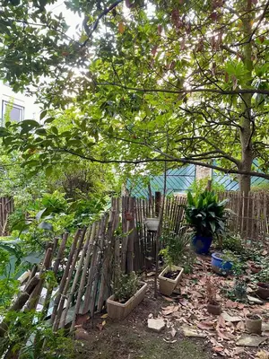 Jardin de l'établissement Chambre et salle d'eau proches du Sacré-Coeur