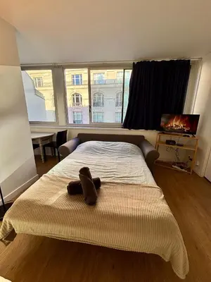 Un ou plusieurs lits dans un hébergement de l'établissement Appartement des Champs Elysées