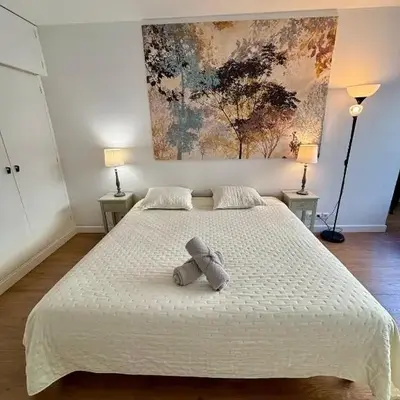 Appartement des Champs Elysées