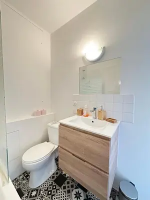 Salle de bains dans l'établissement Appart ensoleillé à Boulogne Billancourt