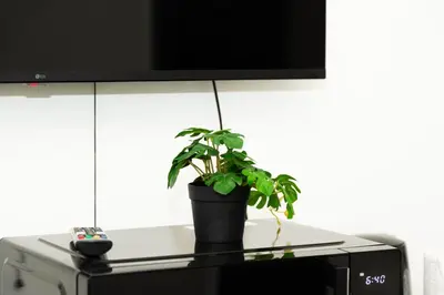 Télévision ou salle de divertissement dans l'établissement Charment studio stade de France 18 pour 4 personnes