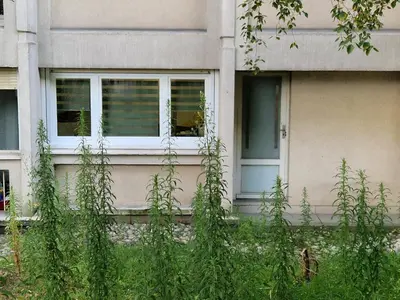 Jardin de l'établissement Private Comfortable rooms for Working - Levallois