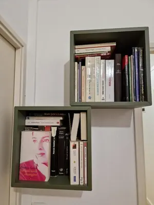 Bibliothèque dans le séjour chez l'habitant