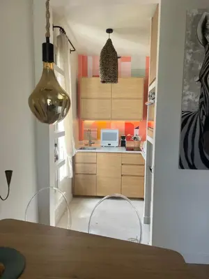 Cuisine ou kitchenette dans l'établissement Magnifique appartement entièrement rénové