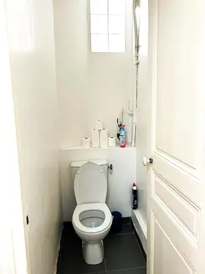 Salle de bains dans l'établissement Magnifique appartement Paris