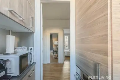 Cuisine ou kitchenette dans l'établissement Flexliving - room - Felix Faure