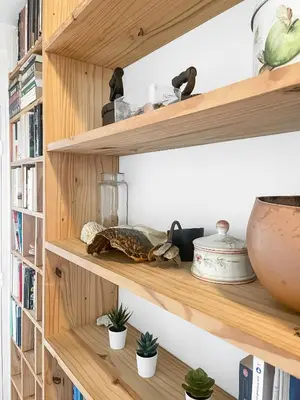 Bibliothèque dans l'appartement