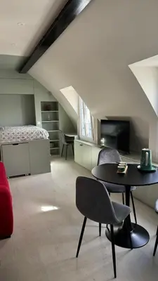 Télévision ou salle de divertissement dans l'établissement Charmant studio rénové avec vue sur les toits de Paris 7e arrondissement