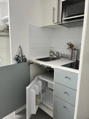 Cuisine ou kitchenette dans l'établissement Charmant studio parisien au cœur du 15e arrondissement