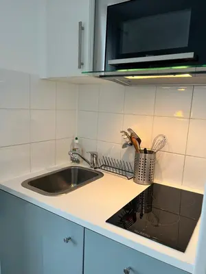 Cuisine ou kitchenette dans l'établissement Charmant studio parisien au cœur du 15e arrondissement