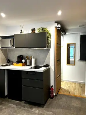 Cuisine ou kitchenette dans l'établissement Studio moderne et cosy - Grand Rex