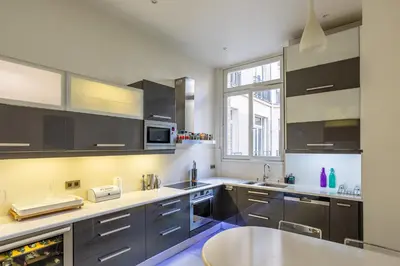 Cuisine ou kitchenette dans l'établissement Prestigious Appartement Trocadero