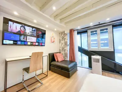 Télévision ou salle de divertissement dans l'établissement Urban Flat 179 - Pretty Loft Montorgueil