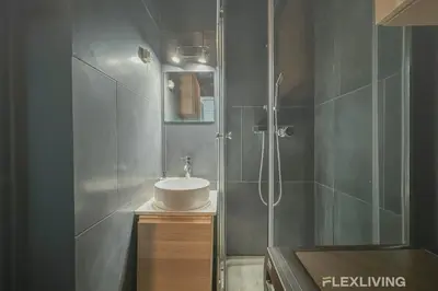 Salle de bains dans l'établissement Flexliving - whole flat - Felix Faure
