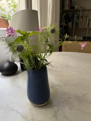 Plan de l'établissement Comme une petite maison