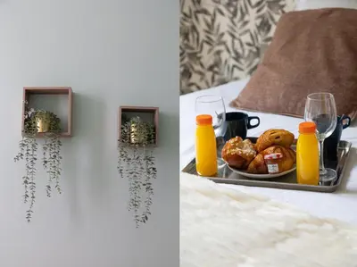 Nourriture dans l'appartement ou à proximité