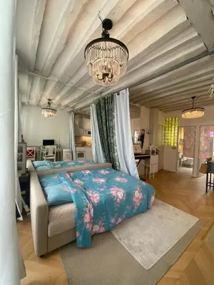Coin salon dans l'établissement Appartement cosy à Saint Michel-Notre Dame Paris Center