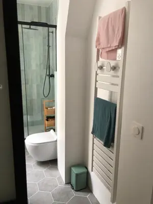 Salle de bains dans l'établissement Appartement Paris Alésia Montparnasse