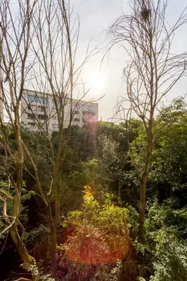 Jardin de l'établissement Calme dans la verdure Paris 16e