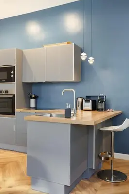 Cuisine ou kitchenette dans l'établissement Renovated spacious Parisian apt near la Madeleine