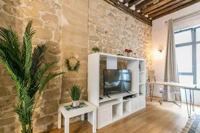 Télévision ou salle de divertissement dans l'établissement Cœur de Voltaire - Loft cosy Parisien