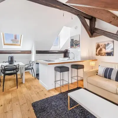 Marais Rooftop Apartment