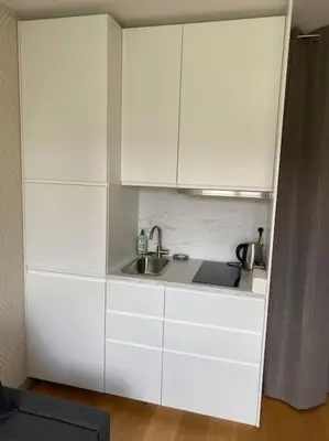 Cuisine ou kitchenette dans l'établissement Charmant perchoir plein sud à Boulogne !