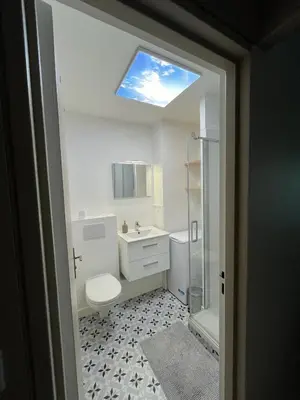 Salle de bains dans l'établissement Bel appartement Ouest Parisien
