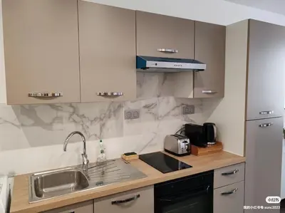 Cuisine ou kitchenette dans l'établissement appartement champs elysees