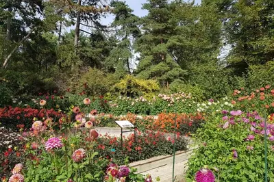 Jardin de l'établissement chambre dans T3 élégant proche du bois de Vincennes