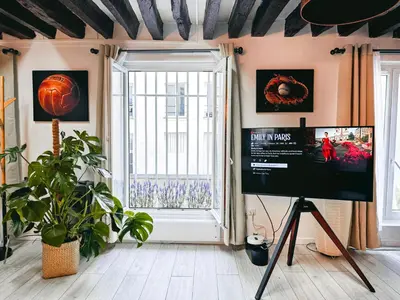 Télévision ou salle de divertissement dans l'établissement Rustic Charm&Dreamhome 40m2 in the heart of Paris, near Pompidou and Notre-Dame, Subway 4,8,9 Honeymoon favourite