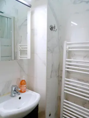 Salle de bains dans l'établissement Chic & Modern Studio in Centre Paris Rambuteau