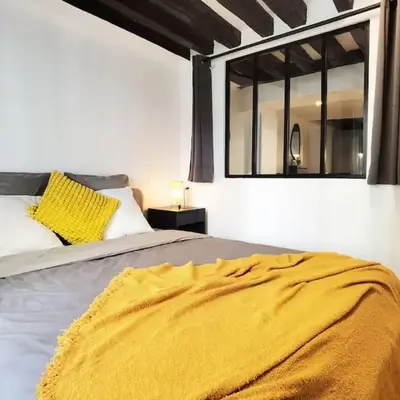 60m2 New designed 2 bdrs apt heart of Paris 75002 N2-108