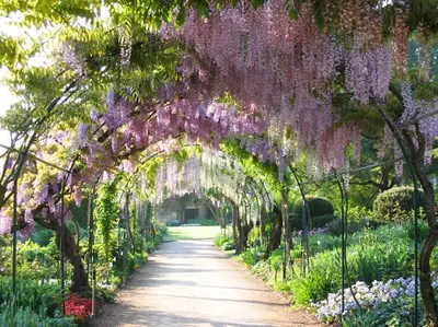 Jardin de l'établissement Charmant Appartement à Paris 2P