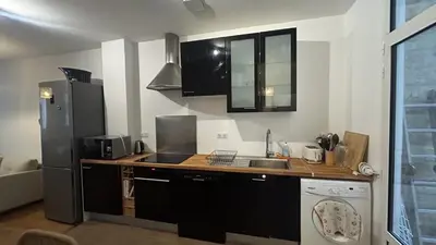 Cuisine ou kitchenette dans l'établissement Grand Appartement Avec Patio à Paris 14ème